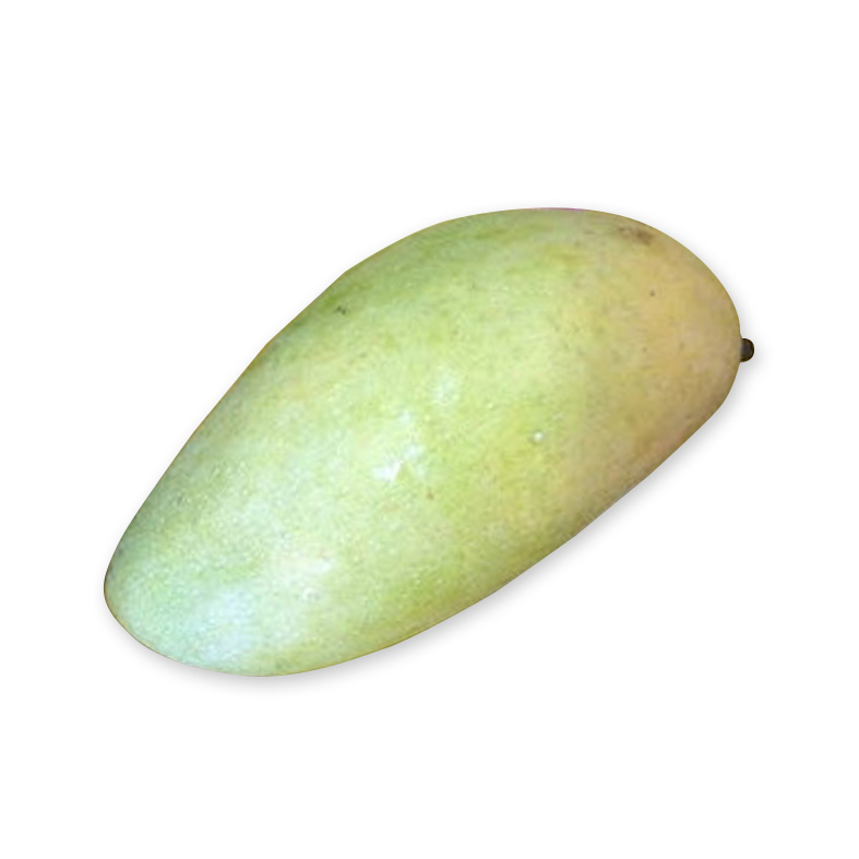 zo-th-1